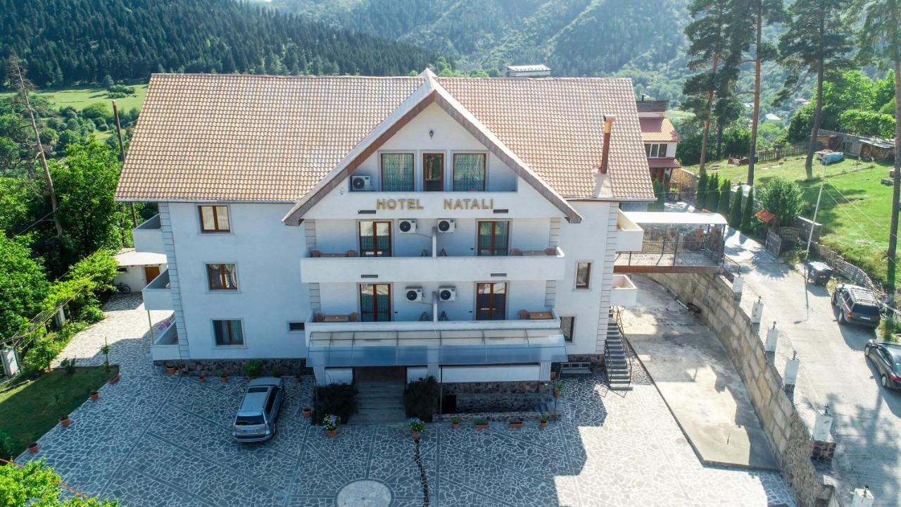 Natali Hotel Боржоми Екстериор снимка