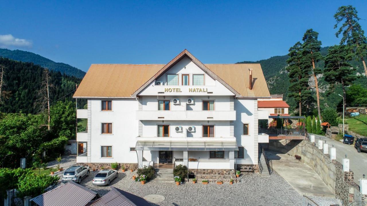 Natali Hotel Боржоми Екстериор снимка