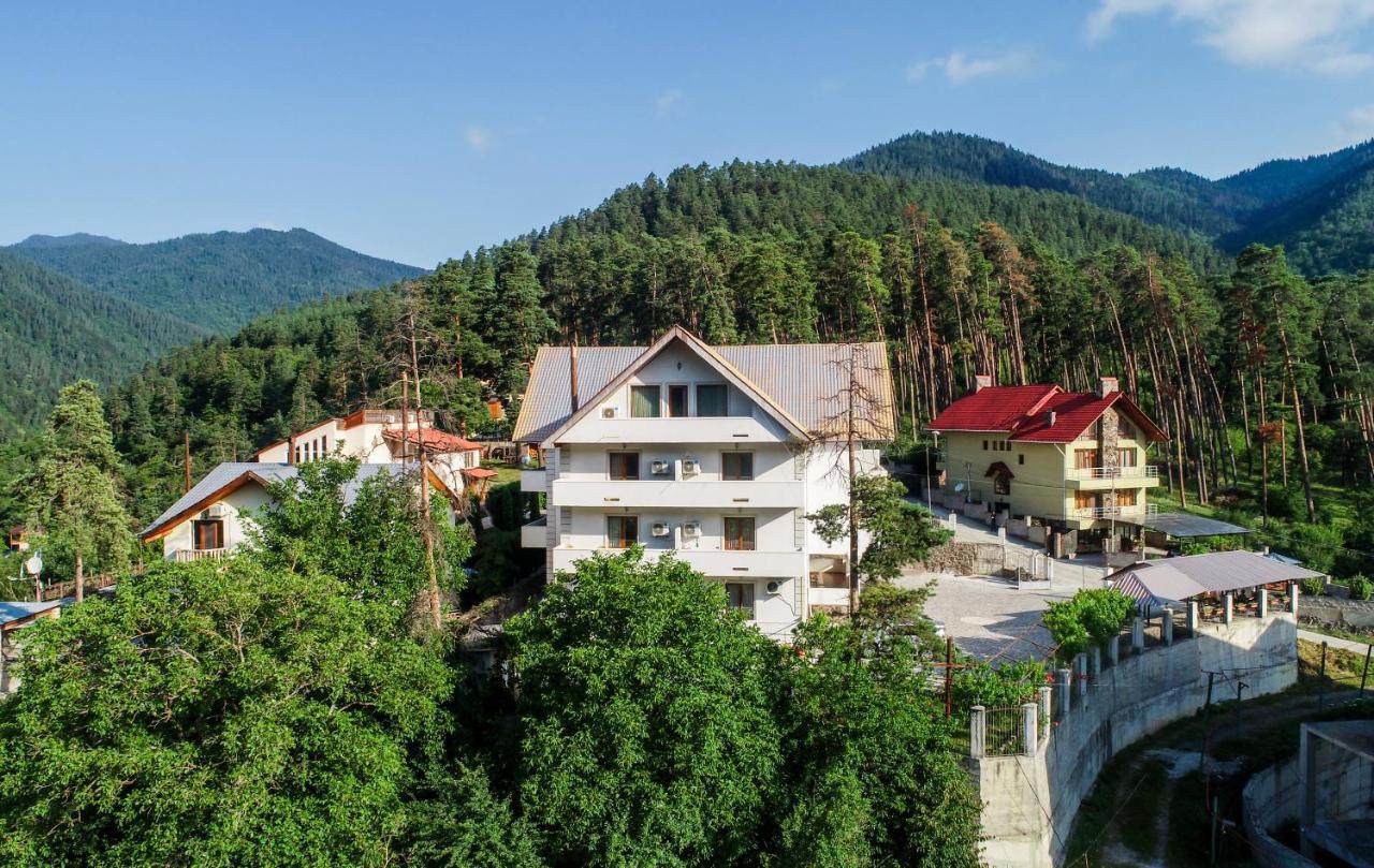 Natali Hotel Боржоми Екстериор снимка