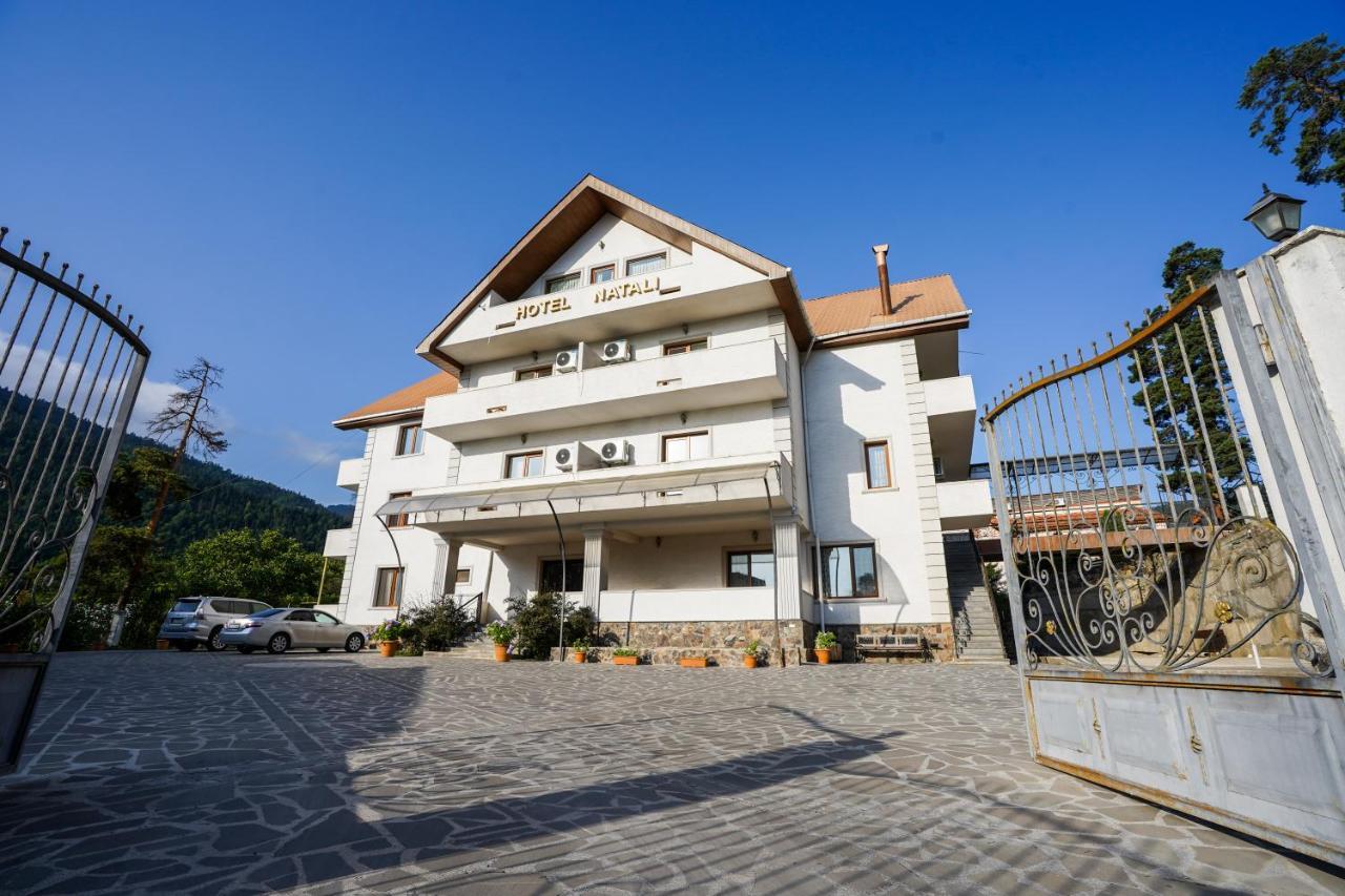 Natali Hotel Боржоми Екстериор снимка